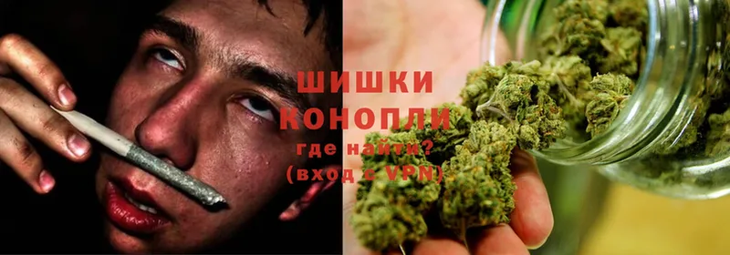 Марихуана Bruce Banner  как найти закладки  Новошахтинск 